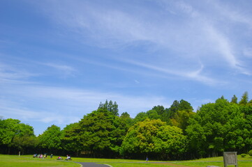 Fototapeta na wymiar 青い空と緑の木々と芝生