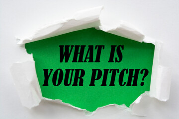 Word writing text What Is Your Pitch Question.