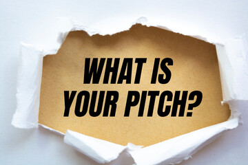 Word writing text What Is Your Pitch Question.