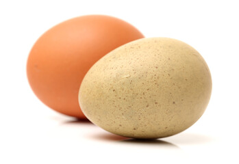 Egg collection isolated on white background