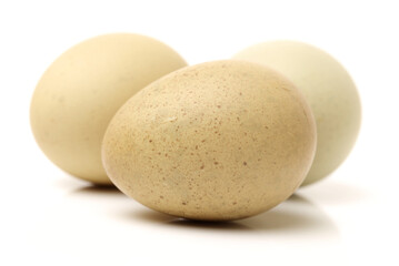 eggs on a white background 