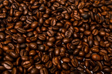 coffee beans on the background white and black.