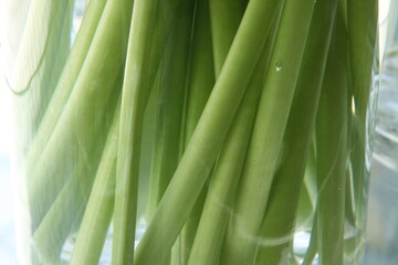 beautiful, romantic, flower, background, blossom, spring, vintage, retro, texture, nature, bloom, petal, pastel, summer, bright, greeting, color, pink, cherry, floral, fresh, blossoms, blue, narcissus