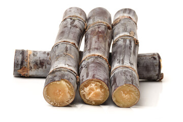 Sugar cane isolated on white background