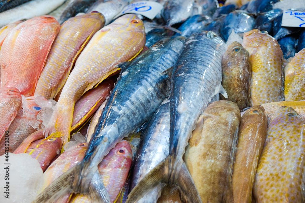 Wall mural Various sea fish sell on ice in fresh fishery market