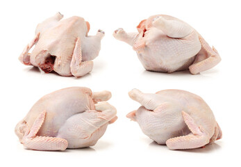 raw hen on a white background 