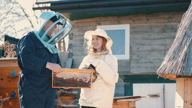 Man and woman beekepers inspecting beehive outdoors