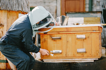 Senior man beekeper collecting honey from honeycomb