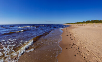Panorama of wild coast of the Baltic Sea with small waves in Carnikava, Latvia