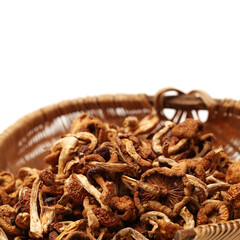 dried mushroom on white background
