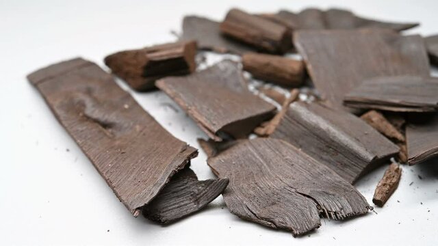 angle pan herb ZongLuTan or Trachycarpi Petiolus Carbonisata or Carbonized Fortune Windmillpalm Petiole