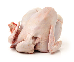 raw hen on a white background