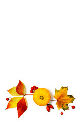 Obraz premium Leaf autumn. Natural food, harvest with orange pumpkin, fall dried leaves, rowan berries isolated on white background. Concept of Thanksgiving day or Halloween.
