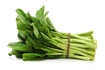 Green kale on a white background