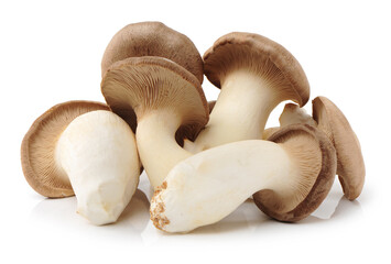 King oyster mushroom Pleurotus eryngii on white background 
