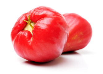 Rose apples or chomphu on white background