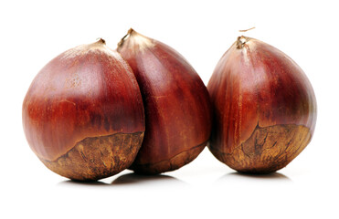 Fresh chestnuts on white background