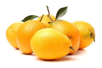 Orange fruit on the white background