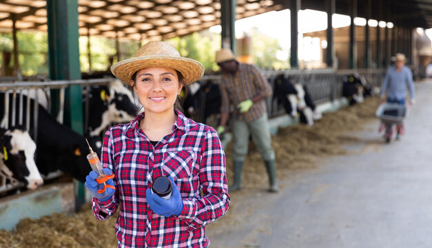 Young hispanic female farmer standing near outdoor stall with cows on dairy farm, holding syringe and bottle with injection medicine