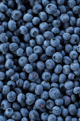 blueberries