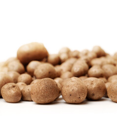 Dioscorea opposita on white background