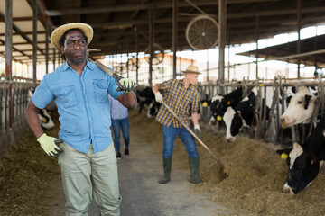 Fototapeta na wymiar Portrait of a focused african american man standing on a cattle farm with a shovel slung over his shoulder, looking ..into the distance