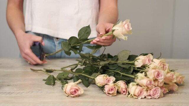Woman ctting and sorting roses in flower shop