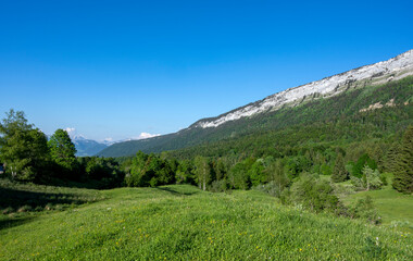 Naklejka na ściany i meble Paysages du Parc Naturel Régional des Bauges autour du col de Plainpalais en savoie dans les Alpes en france