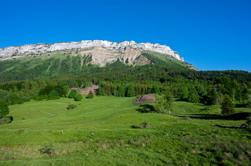 Fototapeta na wymiar Paysages du Parc Naturel Régional des Bauges autour du col de Plainpalais en savoie dans les Alpes en france