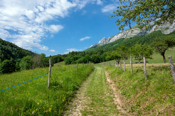 Fototapeta na wymiar Paysage autour du village de La Compôte dans le massif des Bauges en Savoie dans les Alpes en france