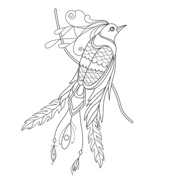 Contour linear illustration for coloring book. Beautiful tropical exotic bird,  anti stress picture. Line art design for adult or kids  in zentangle style and coloring page.