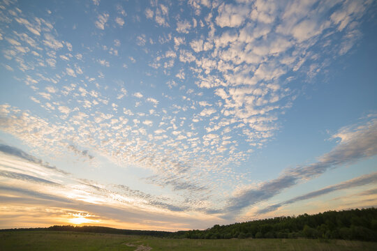 Beautiful blue sky at sunset with pink, cirrus clouds. Sky panorama for screensavers, postcards, calendar, presentations. Low point at wide angle. Warm spring or summer evening.