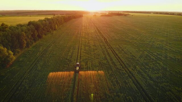 Aerial view of farming tractor spraying on field with sprayer, herbicides and pesticides at sunset. Farm machinery spraying insecticide to the green field, agricultural natural seasonal spring works.