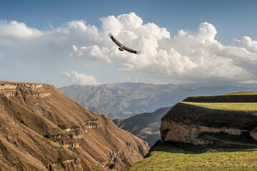 Atmospheric landscape with silhouettes of red and green mountains. Eagle flies over a mountain gorge. Hunzah. Dagestan.