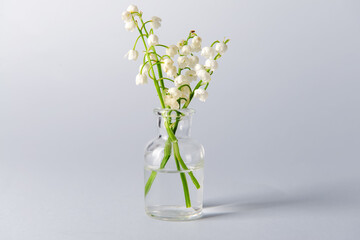 Vase with beautiful lily-of-the-valley flowers on light background