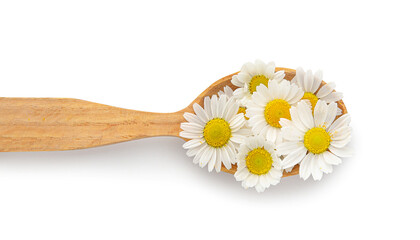 Spoon with chamomile flowers on white background