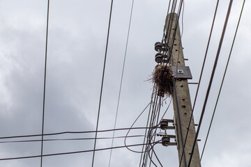 bird's nest on an electric pole The reason for the power outage is sometimes caused by animals.