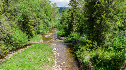 Creek called Czarna Wiselka. Source creek of the Vistula River.
