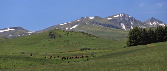 massif du Sancy, Auvergne