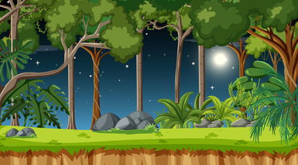 Forest landscape scene at night with many different trees