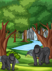 Forest scene with two gorillas and many trees