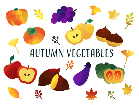 124 428 Best 果物 Images Stock Photos Vectors Adobe Stock