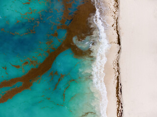 Seascape. Azure water. The tide. There are many algae near the shore. White sand. The problem of environmental pollution. Bright colors. Daylight illumination. Aerial photography.