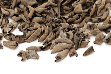 black fungus on white background