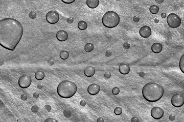 Frühling / Sommer 21