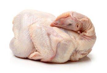 raw chicken isolated on white