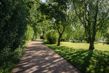 Fototapeta premium View of the shaded alley in the Catherine Park of Tsarskoye Selo on a sunny summer day. Pushkin, St. Petersburg. Russia.