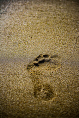 footprint on beach sand. passage, trace of man.