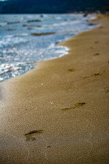 footprints on the shore of the beach. passage, trace of man with sea on the bottom.