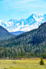 spring in the mountains